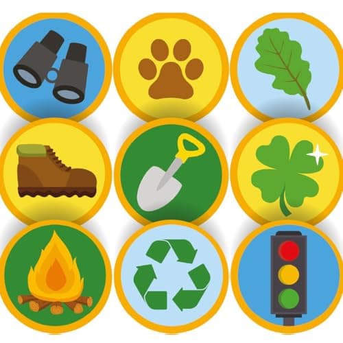 Image of 144 Wilderness Explorer Badge Stickers - 30mm - Glossy Reward Stickers - Forest School, Scouts, Teachers