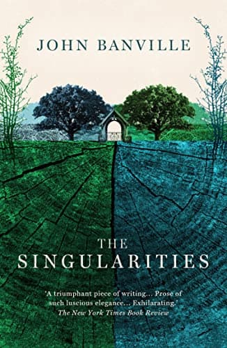 Image of The Singularities