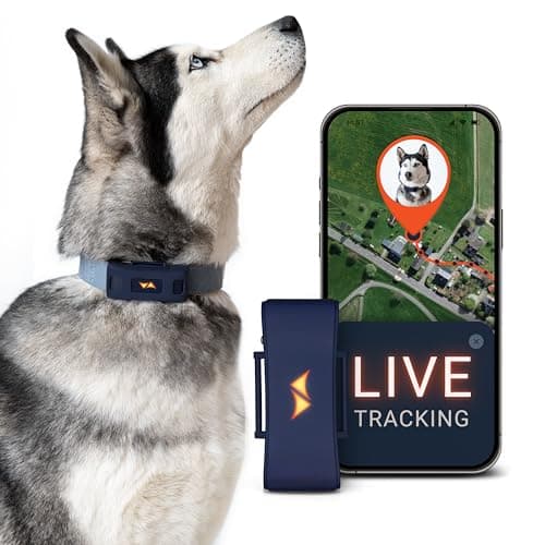 Image of PAJ Tracker for Dogs - 4G - Runaway Alarms + UK & Worldwide Live Tracking - Up to 10 Days Battery Saving Mode - Dog Recall - with Illuminated LEDs - Waterproof (IP67) - Fits Any Collar - Blue