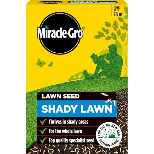 Image of Miracle-Gro Shady Lawn Seed, Child and pet Friendly - Coverage 28m2, 840g Box, Yellow