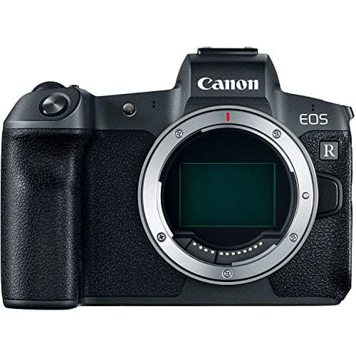 Image of Canon EOS R Body