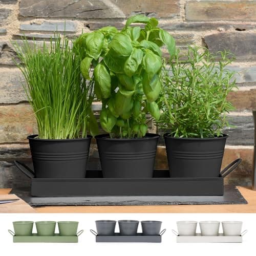 Image of CKB LTD Set of 3 Metal Herb Plant Pots with Drip Tray Traditional Indoor Windowsill Coloured Planter Box for The Kitchen Grow Your Own Herbs for Cooking (Black)