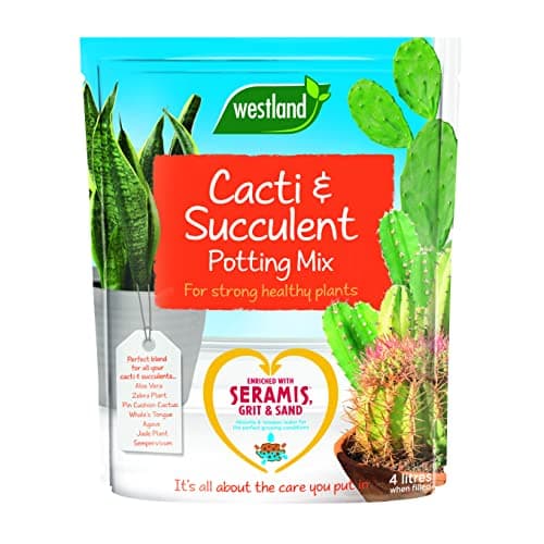 Image of Westland Cacti/Succulent Potting Compost Mix and Enriched with Seramis, 4 L Brown 60x3x29 cm