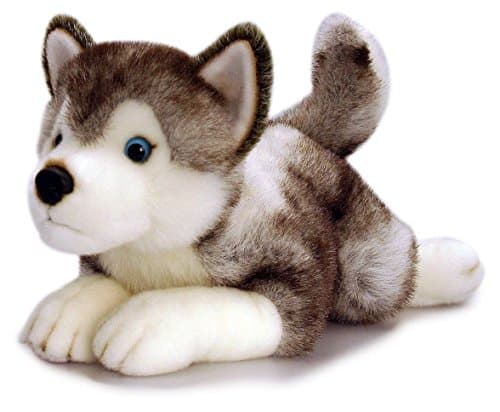 Image of Keel Toys 35cm Storm Husky