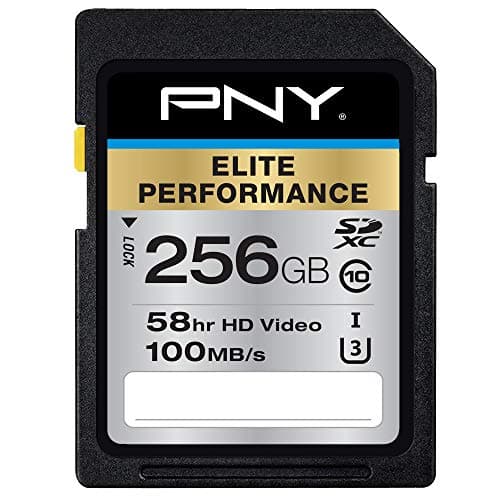 Image of PNY Elite Performance 256 GB High Speed SDXC Class 10 UHS-I, U3 up to 95 MB/Sec Flash Card (P-SDX256U395-GE)