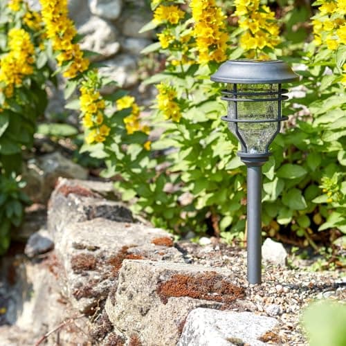 Image of Smart Solar SuperBright Capri Stake Light 10L