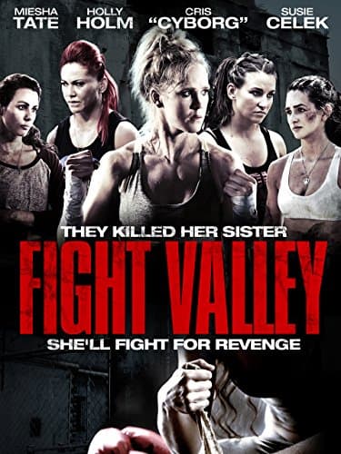 Image of Fight Valley