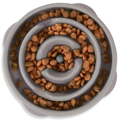 Image of Outward Hound Slow Feeder Dog Bowl - Makes Meal Time Fun, Slows Down Eating, Promotes Healthy Digestion, Prevents Bloat | Slip Resistant and Durable, Food & Water Bowl, Size Medium (Grey)