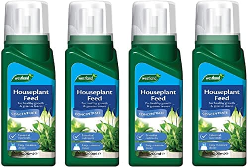 Image of Westland Houseplant Feed Concentrate (200ml) X 4