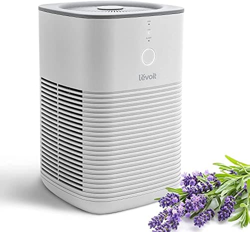 Image of LEVOIT Air Purifier for Bedroom Home, Dual HEPA Filters with Aromatherapy Diffuser, Quiet Sleep Mode, Air Cleaner for Smoke, Allergies, Pet Dander, 100% Ozone Free, LV-H128, Gray