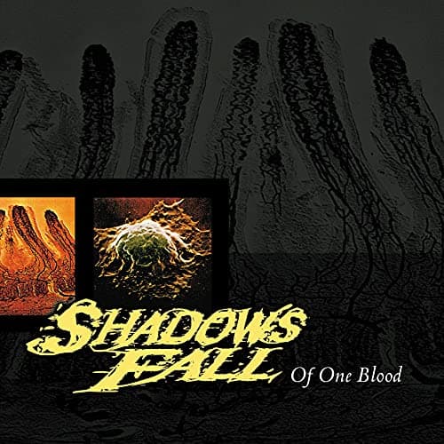 Image of Of One Blood (Yellow With Black Marble Vinyl) [VINYL]