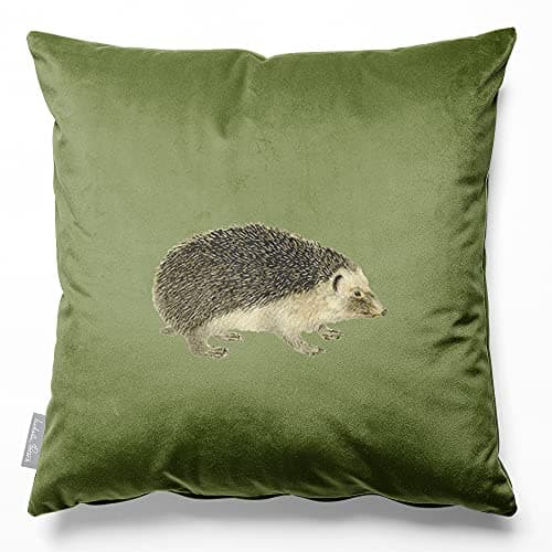 Image of Izabela Peters Velvet Cushions - Filled, Eco-Friendly, 50 cm, Hedgehog - Sage, Chair & Sofa Seat Cushions