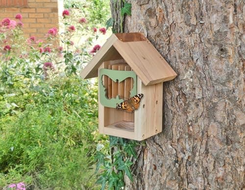 Image of Wildlife World Butterfly Barn, natural