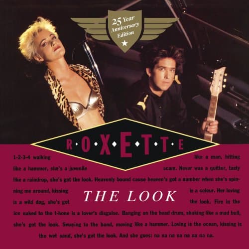Image of The Look