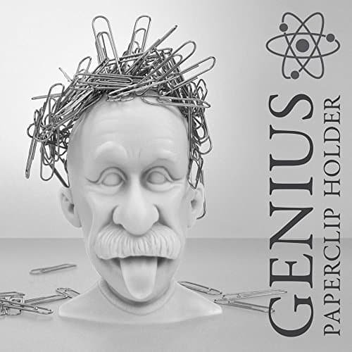 Image of Genius Magnetic Paperclip Holder. Einstein Head Paper Clip Holder - Create wacky paperclip hairstyles. Great Science Gift