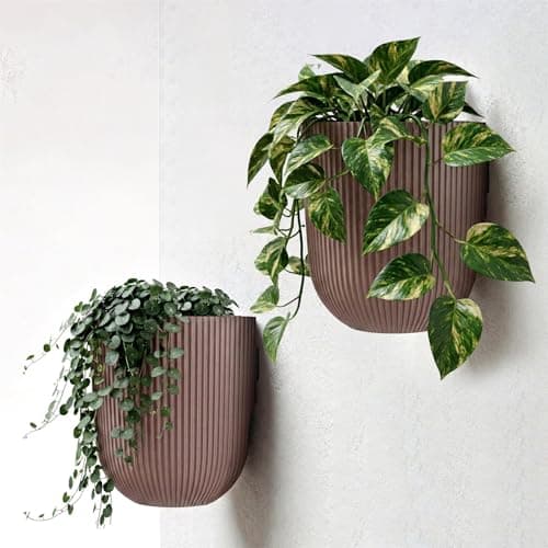 Image of GEEZY Set of 2 Ribbed Wall Planter, 14.6 cm - Weather Resistant Indoor & Outdoor Wall Mounted Plant Holder - Modern Hanging Plant Pots & Flower Pots for Home, Garden & Patio