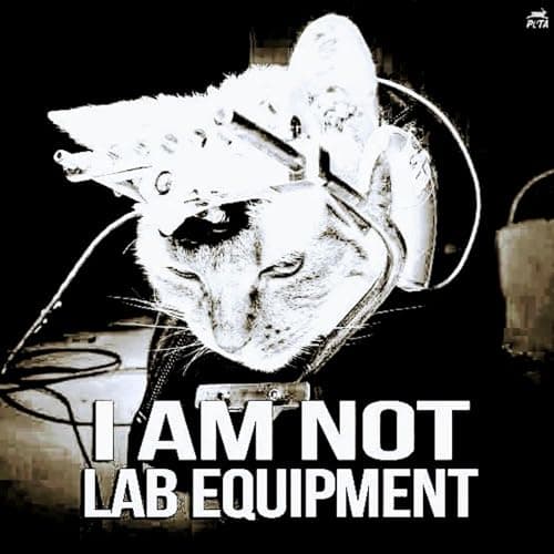 Image of Until Every Cage Is Empty