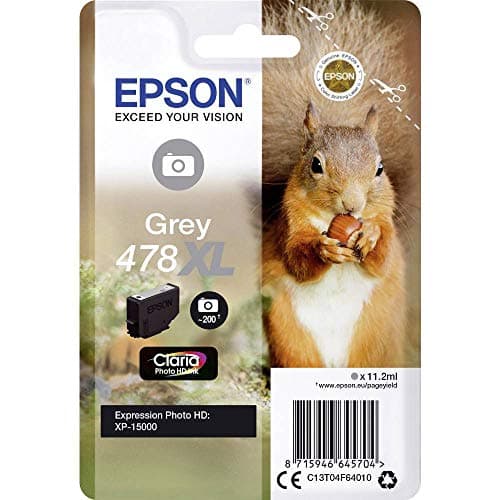Image of Epson C13T04F64010 X-Large Inkjet Cartridge - Grey