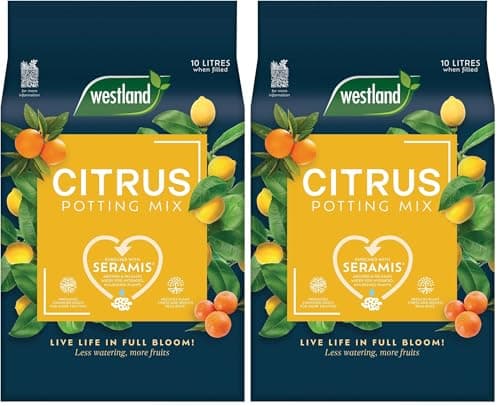 Image of Citrus Potting Mix 10L (Pack of 2)