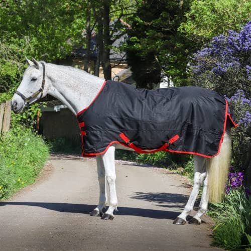 Image of GS Equestrian 600D 100g Fill Standard Neck Waterproof Winter Turnout Rug GSE400 All Life Stages (7'0, Black/Red)