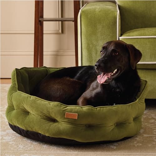 Image of Rosewood x Joules Khaki Chesterfield Pet Bed, Large – Luxury Velvet Dog Bed with Non-Slip Base, Extra Padding & Supportive Cushion – Stylish Sofa-Inspired Design, Comfortable Resting Spot