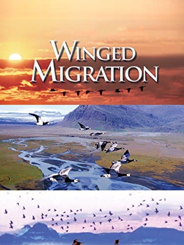 Image of Winged Migration
