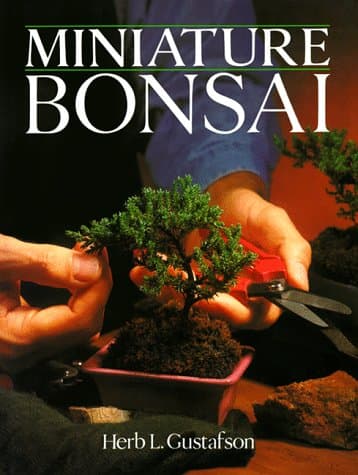 Image of MINIATURE BONSAI
