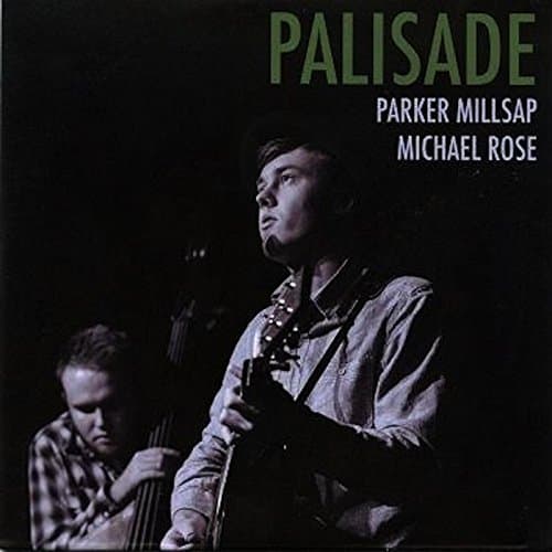 Image of Palisade