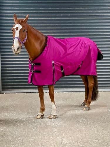 Image of Turner Equestrian Horse Turnout Rug, 600D Lightweight Waterproof, Deep Raspberry, 100g Fill (5'0" Standard)