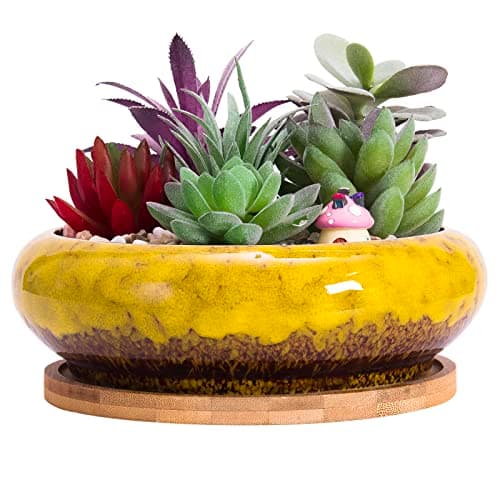 Image of Succulent Plant Pot, 18.5CM Large Bonsai Pot with Tray Ceramic Succulent Pot with Drainage Hole Shallow Cactus Flower Pots for Indoor/Outdoor Plants Glazed Planter Bowl, Yellow