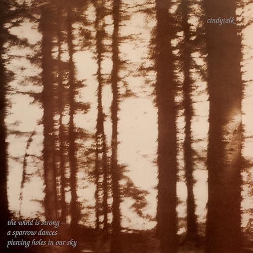 Image of THE WIND IS STRONG... (MARBLE SMOKE) [VINYL]