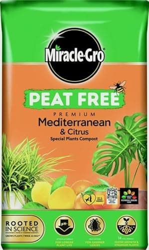 Image of Miracle-Gro Mediterranean & Citrus Peat Free Compost - 8L