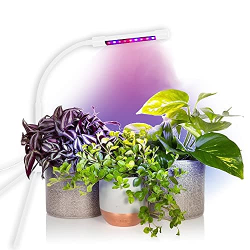 Image of Mayhem Funtech USB LED Grow Light - The Indoor Plant Booster - with Timer & Variable Lights - Tripod Stand