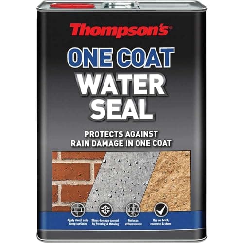 Image of TWSU5L 5L Thompson's One Coat Water-Seal