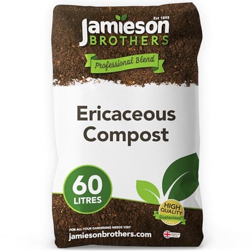 Image of Ericaceous Compost 60L bag Premium Mix for acid loving plants such as Rhododendron, Blueberries, Hydrangea, Heathers, Azalea and many more Can be used in Pots, Baskets & Borders - By Jamieson Brothers