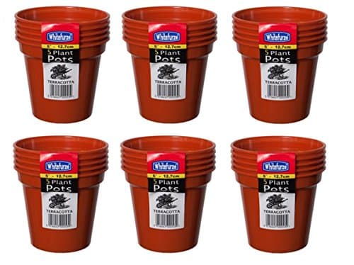 Image of 6x 5 12.7cm Plant Pots
