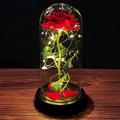 Image of Beauty and the Beast Rose Birthday Gifts for Women Enchanted Rose Gifts for Women Eternal Flowers and Led Light in Glass Dome Gifts for Mum Her Girlfriend Grandma Sister Nana Wife Wedding Anniversary