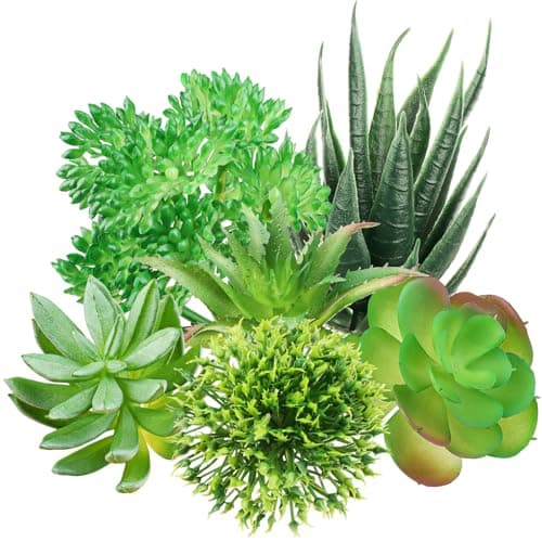 Image of QUOZUO Green Succulent Plants, 6pcs Mini Fake Succulents Plants for DIY Home Floral Wall Office Decoration (excluding pots)