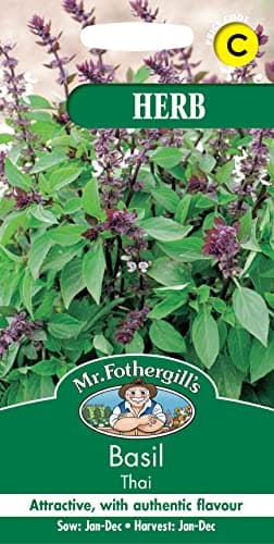 Image of Mr Fothergill's 11483 Herb Seeds, Basil Thai, Green