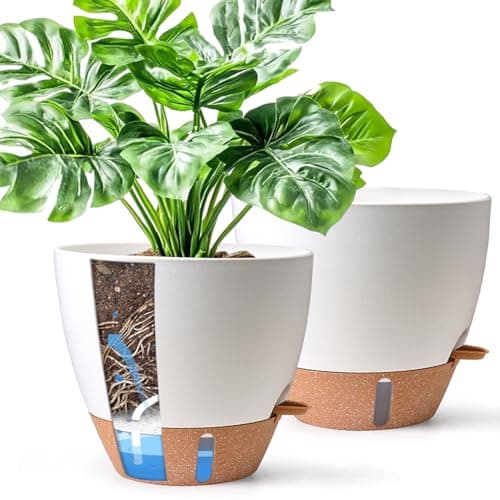 Image of T4U 25cm Self Watering Plant Pots Indoor 2 Pack, Water Level Indicator & Deep Reservoir, Mess-Free Planters for Busy Homes and Beginners, Fit Peace Lily and Snake Plants, Sheltered Outdoor Use(White)