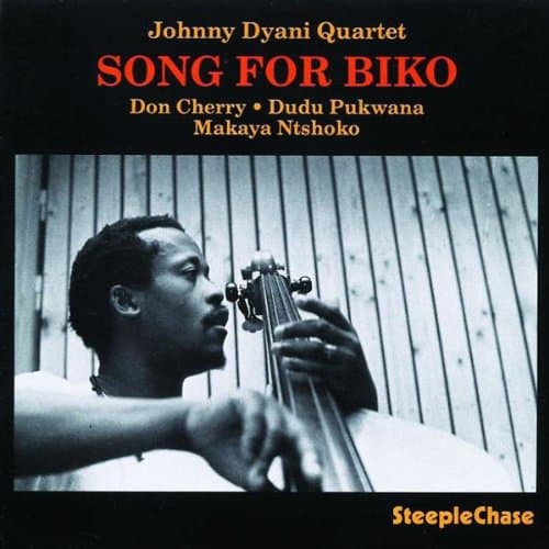 Image of Song for Biko