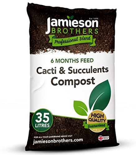 Image of Cacti & Succulent Potting Compost Mix 35L Bag - Professional Formula Containing Perlite, Sand & Grit - Perfect for Indoor Use and Houseplants- By Jamieson Brothers