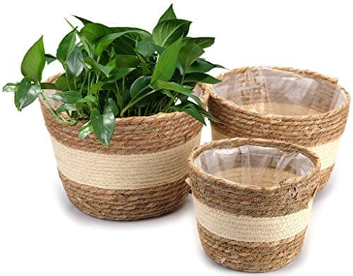Image of Yesland 3 Pack Seagrass Planter Basket, 25.4cm/21.6cm/18.4cm Beige Flower Pots Cover & Plant Containers, Hand Woven Basket with Waterproof Plastic Liner for Home Decor in Indoor or Outdoor
