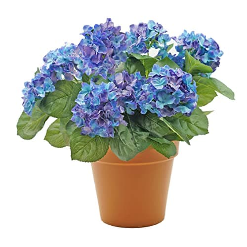 Image of GreenBrokers Premium Quality Artificial Blue Hydrangea Flower Bush in Terracotta Coloured Pot (50cm) with Nine Flower Clusters for Home & Outdoor Living.