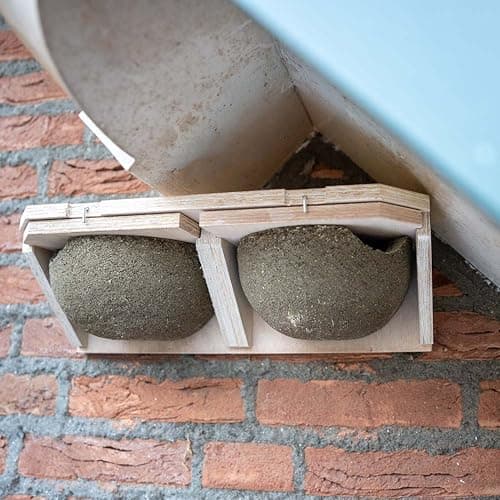 Image of CJ Wildlife House Martin Nest Box – Bird Box for Garden – Woodstone Grey Wood and Concrete – Easy Clean Slide-Out Nests – FSC® 100% Wood