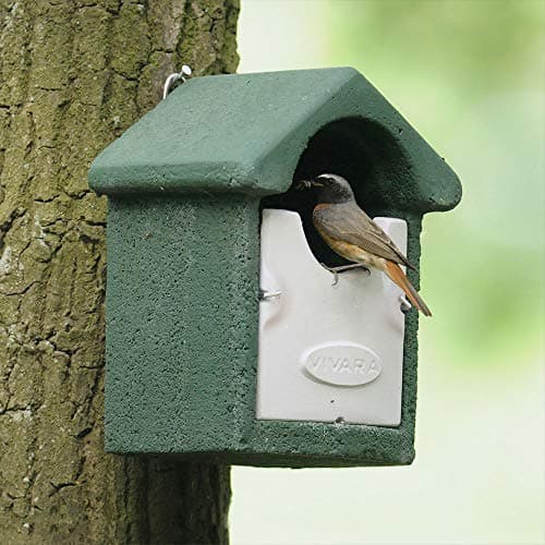 Image of CJ Wildlife Bird Box for Gardens – Bird Nesting Box WoodStone® Wood Fibre Concrete – Open Nest Box for Robins Wrens Song Thrushes – Green, FSC® Wood, 4kg