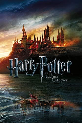 Image of HARRY POTTER AND THE DEATHLY HALLOWS POSTER (61cm x 91,5cm)