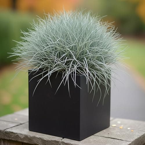 Image of IDEALIST 25cm Planter | Black Reinforced Stone Square Garden Planter | Flower Pot with Drainage Holes L25 W25 H25 cm, 16 litres