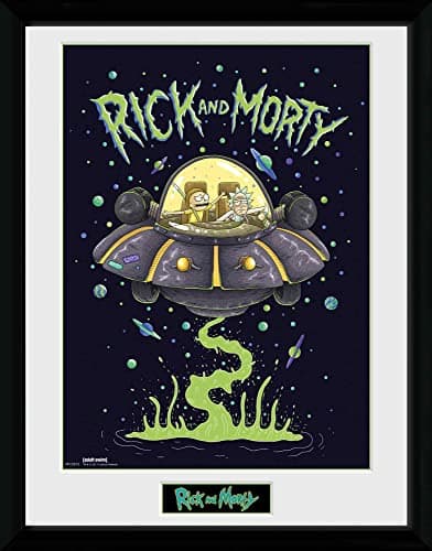 Image of GB eye Rick & Morty Ship 30 x 40cm Framed Collector Print
