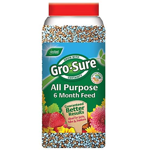Image of Gro-Sure 6 Month Slow Release Plant Food, 1.1 kg